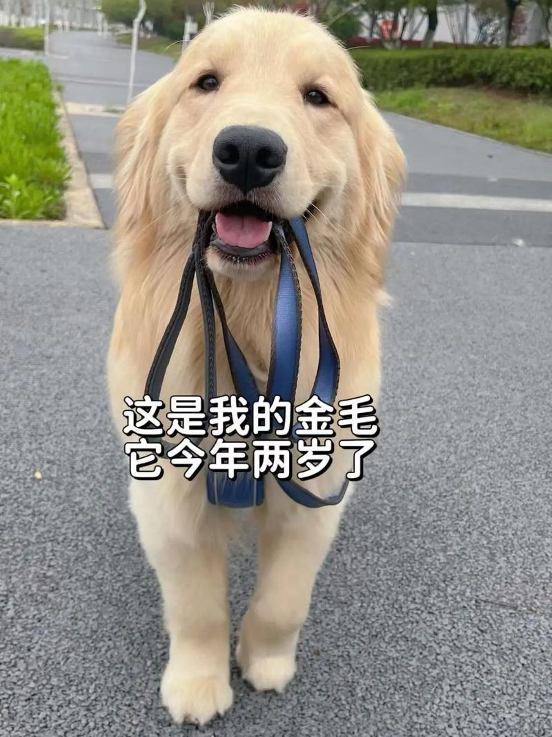 ����ǰ�����׶�԰��ˮ����