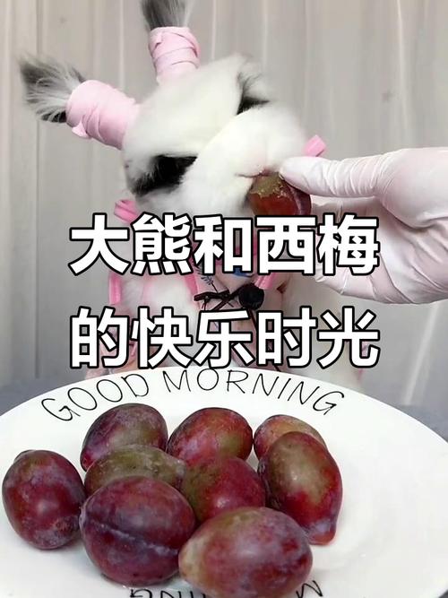 苏姗米勒运势完整版 苏珊米勒2018年白羊座运势 苏姗米勒运势完整版 苏珊米勒2018年白羊座运势
