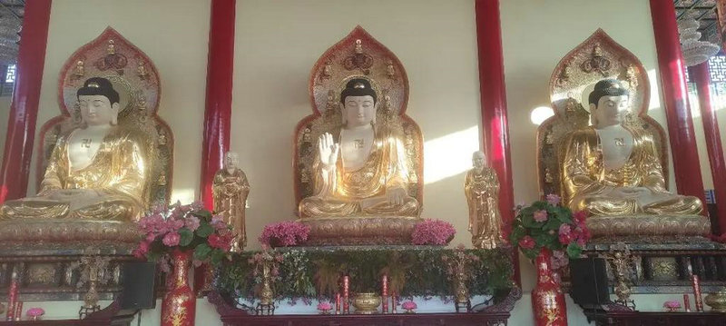 属虎2017年四月份运势,2017属虎的运气怎么样 属虎2017年四月份运势,2017属虎的运气怎么样
