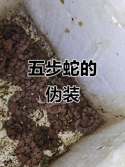 公司名字带什么字有利风水 公司名字带什么字有利风水