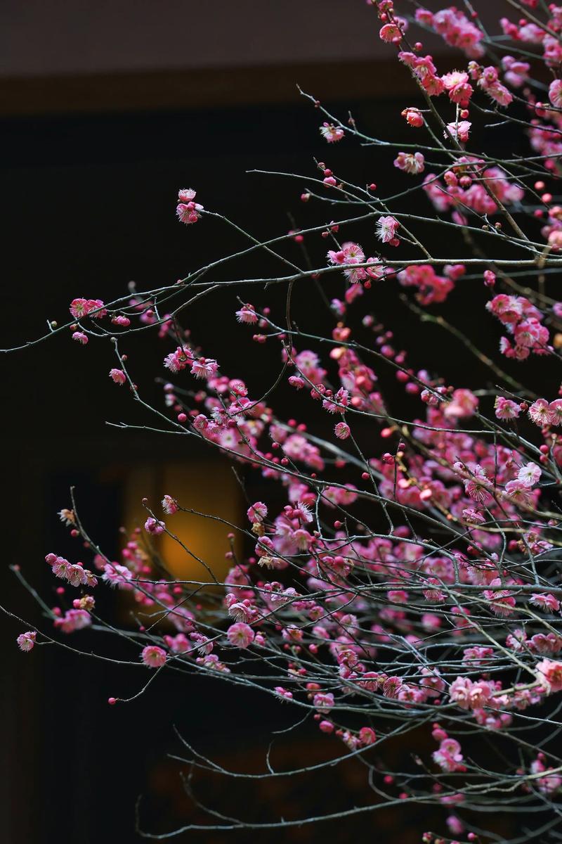 阴宅不顺什么意思 阴宅不顺什么意思