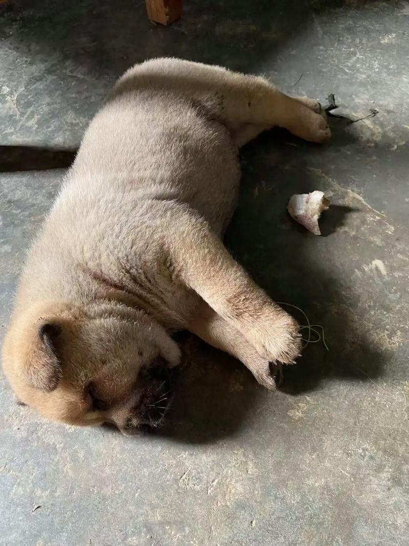 手相中情感姻缘 手相中情感姻缘