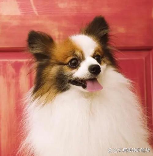 好听的文化教育公司名字大全 好听的文化教育公司名字大全