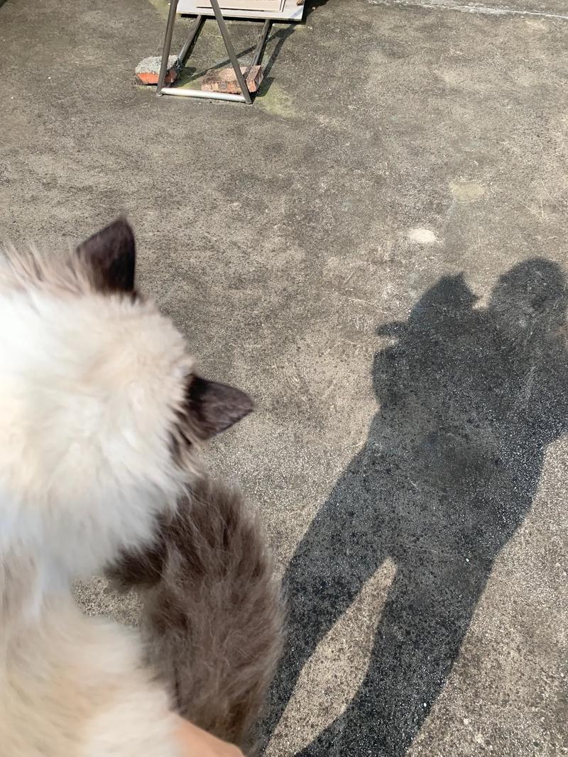 鸡年男宝宝的起名宝典 鸡年男宝宝的起名宝典