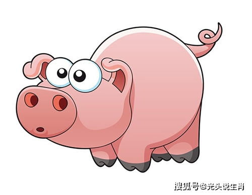 今年属鸡的运势,属鸡的今年运势怎么样啊- 今年属鸡的运势,属鸡的今年运势怎么样啊-