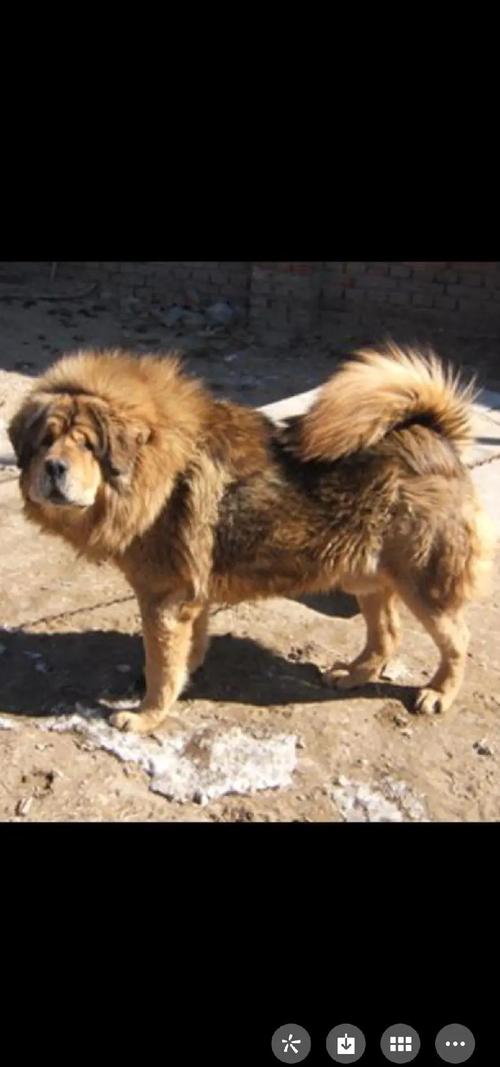 ��Ա�����ȸ������ϼ��