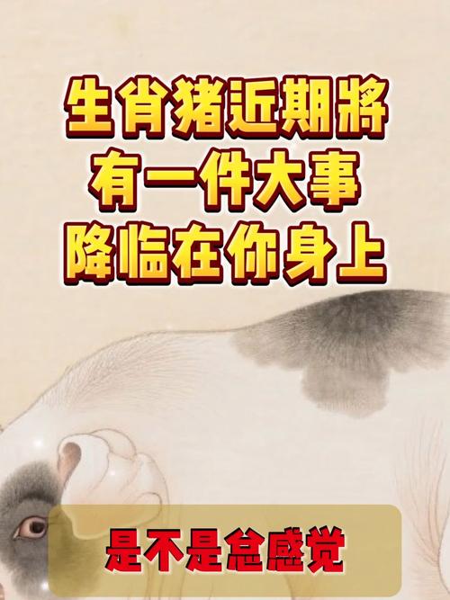 女法官辞职摆摊实录梦与现实的碰撞,法官的地摊生活揭秘 女法官辞职摆摊实录梦与现实的碰撞,法官的地摊生活揭秘