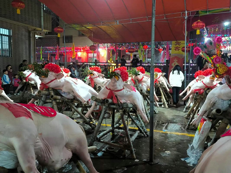汽车金牛座口碑(金牛座口碑汽车之家) 汽车金牛座口碑(金牛座口碑汽车之家)