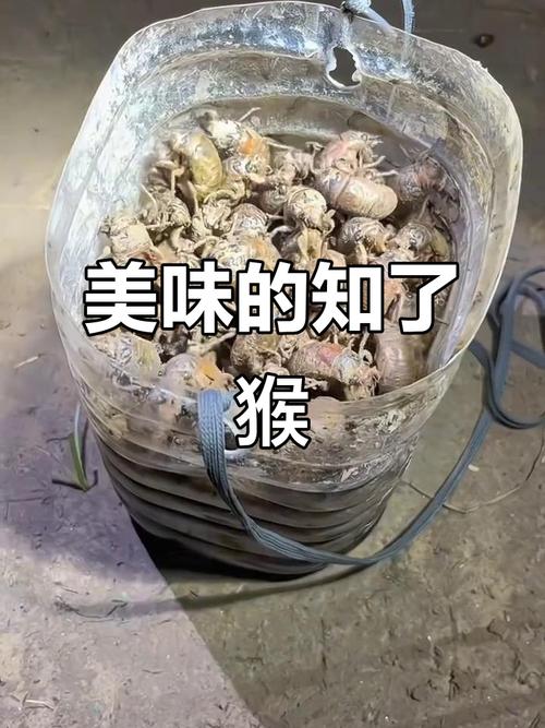 ��ţ���㳡�羰(��ţ�㳡�����Ƶ�)