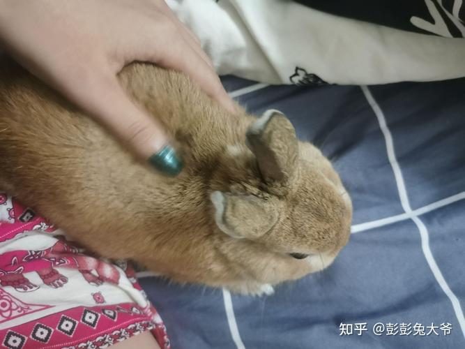 八字宫位取象和盲派口诀《无缝锁》 八字宫位取象和盲派口诀《无缝锁》