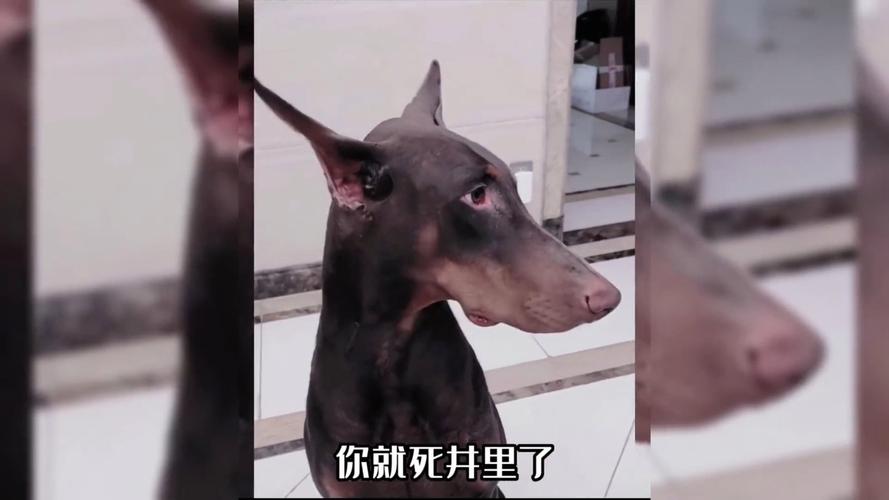 大气有内涵的男孩名字 大气有内涵的男孩名字
