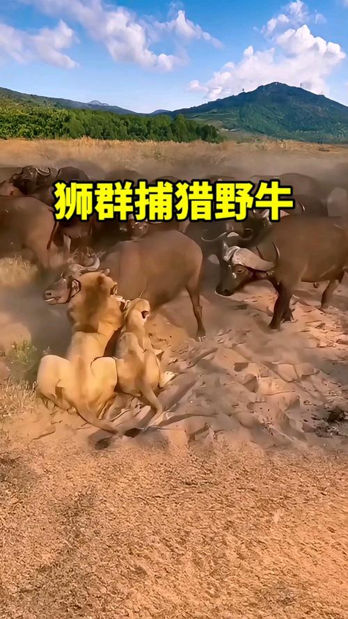 赵川的个人资料简介妻子 赵川的个人资料简介妻子