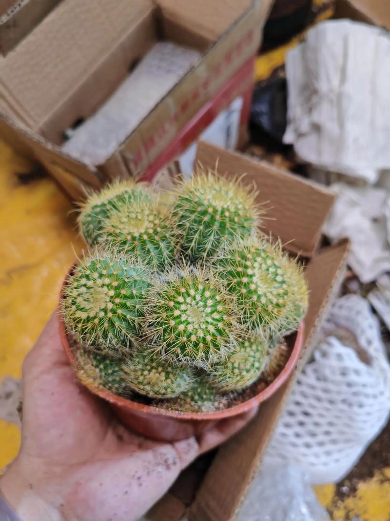 面相看富贵贫贱 面相看富贵贫贱