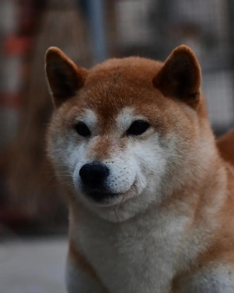怎么给别人看手相撩人 怎么给别人看手相撩人