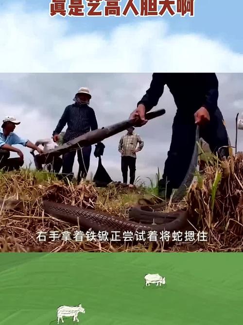 乔丹哭成泪人-乔丹哭成表情包 乔丹哭成泪人-乔丹哭成表情包