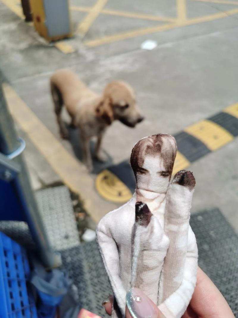 做梦梦见抓蛇 女人做梦梦见蛇 做梦梦见抓蛇 女人做梦梦见蛇