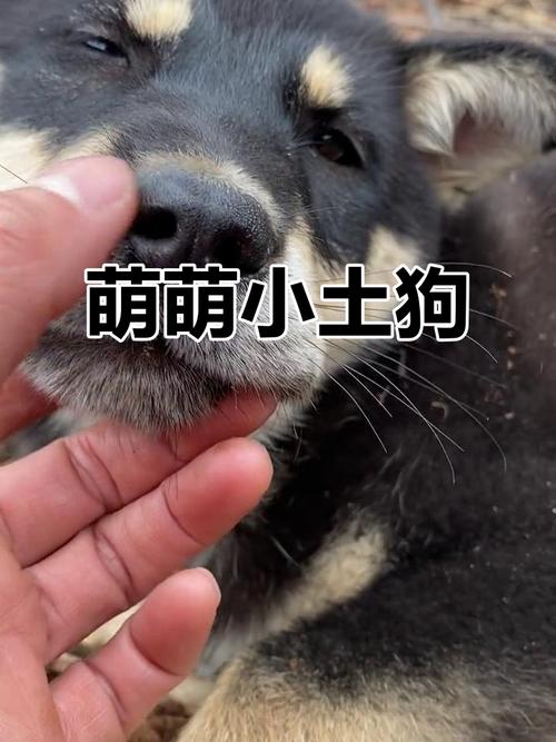 生肖属蛇人的事业发展 生肖属蛇人的事业发展