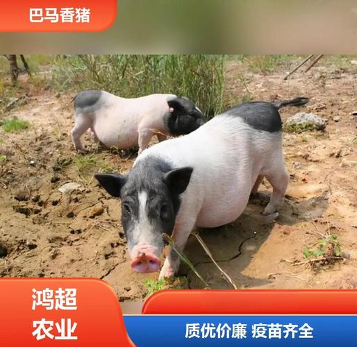 阴宅风水能伤人吗 阴宅风水能伤人吗