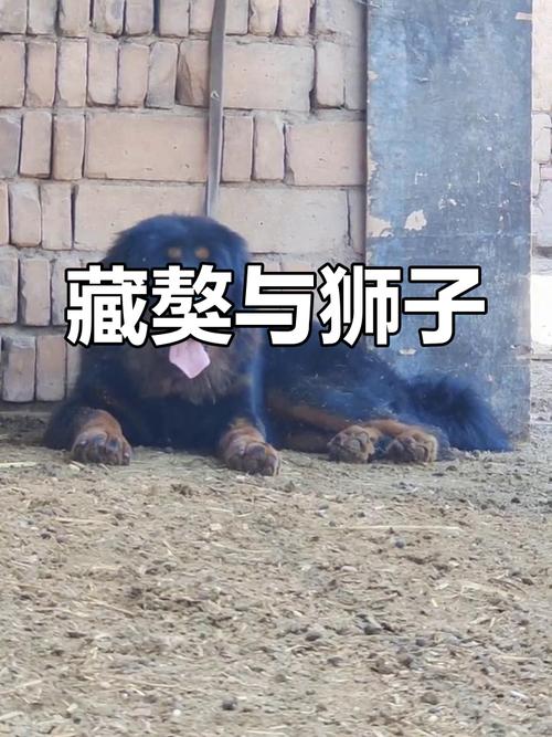紫微斗数性生活 紫微斗数性生活
