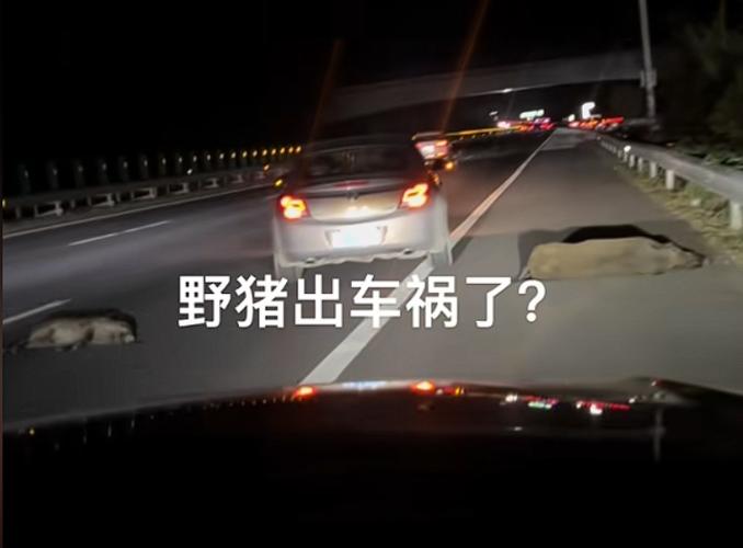 金牛座不起眼(金牛座不帅) 金牛座不起眼(金牛座不帅)