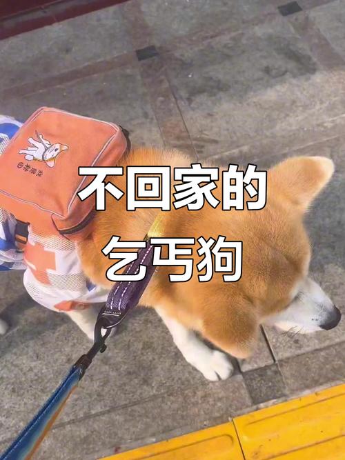 天秤座文案霸气 用一句话能概括天秤座性格的 天秤座文案霸气 用一句话能概括天秤座性格的