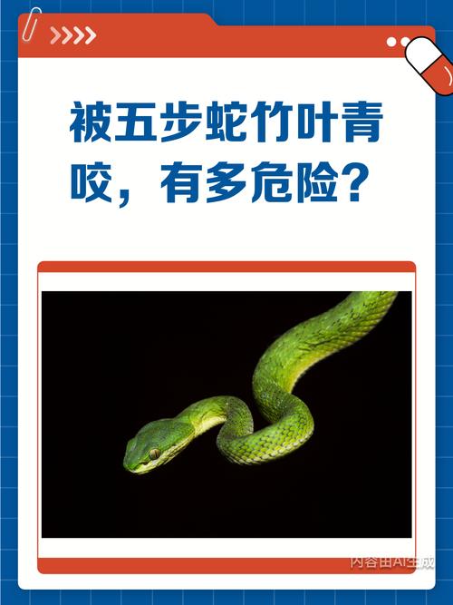 公司起名带龙字的是否影响伴侣学历的未来发展(公司起名带龙字的会影响伴侣学历与事业发展吗) 公司起名带龙字的是否影响伴侣学历的未来发展(公司起名带龙字的会影响伴侣学历与事业发展吗)