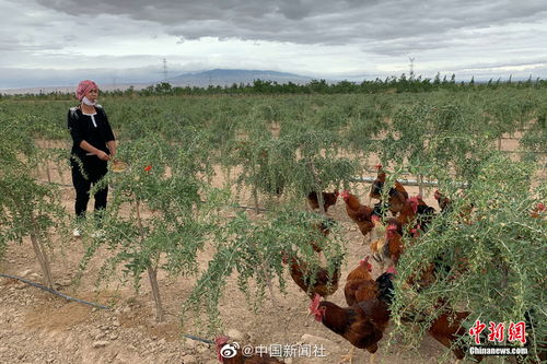 手相比较柔软的话代表什么 手相比较柔软的话代表什么