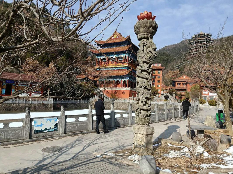 2025年出生五行属什么 2025年属龙五行什么命 2025年出生五行属什么 2025年属龙五行什么命