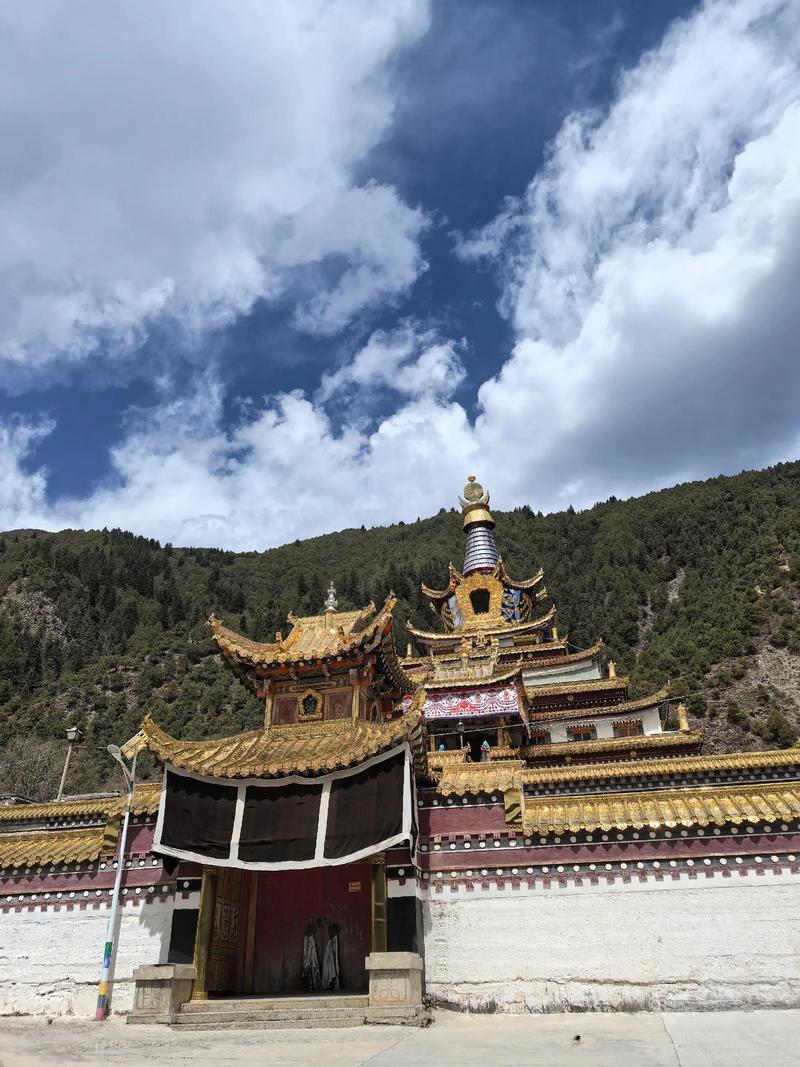 你是我一首歌、你是我一首歌是什么歌 你是我一首歌、你是我一首歌是什么歌