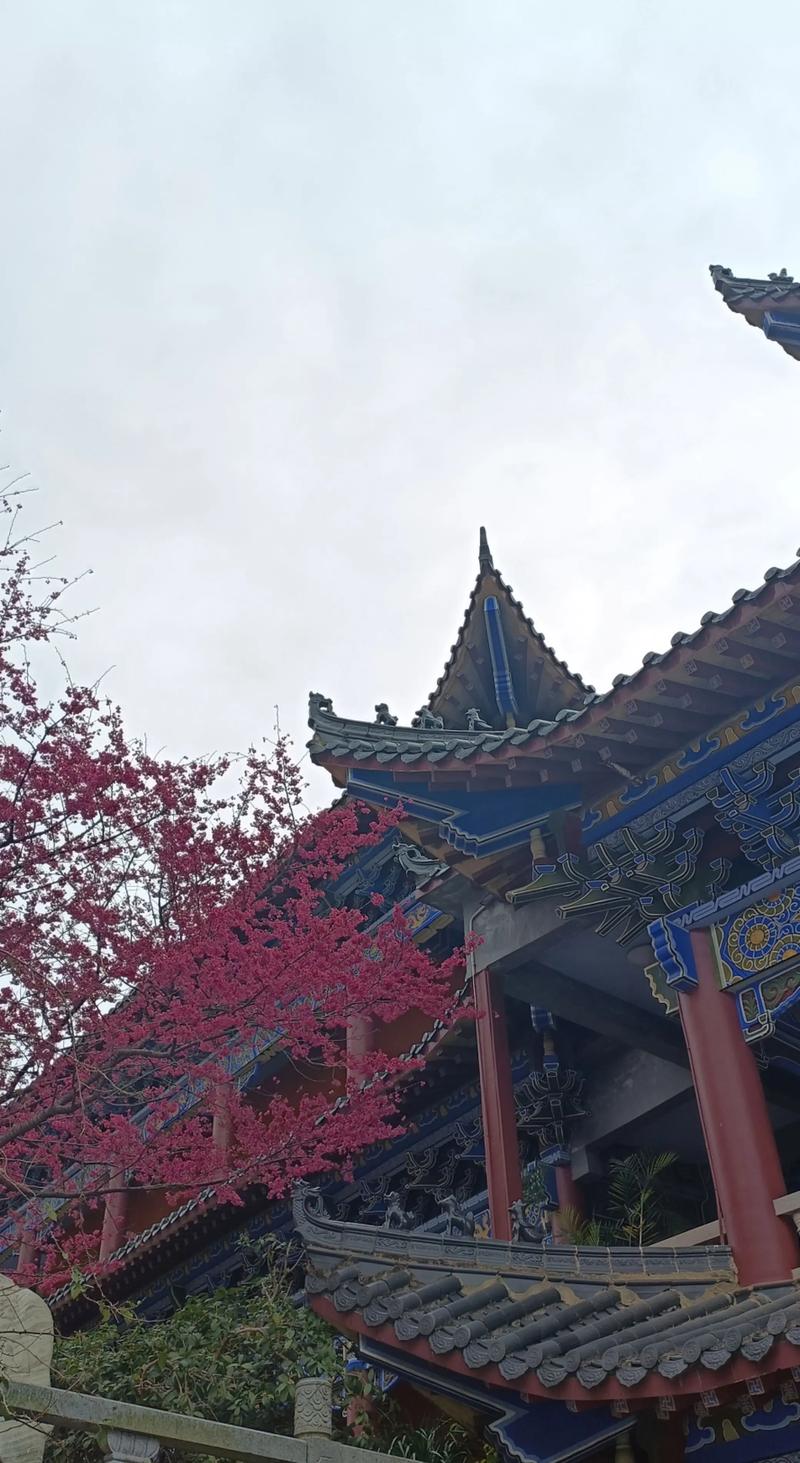怎么看手相吉位 怎么看手相吉位