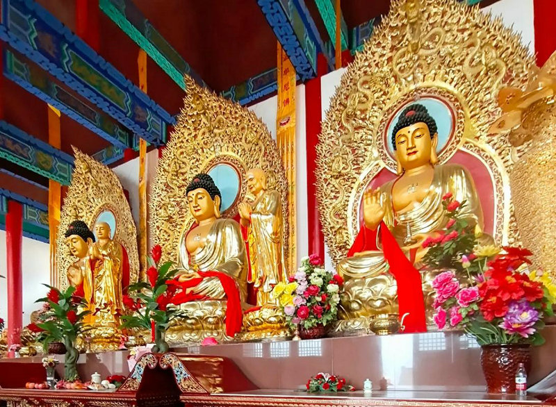 踏月飞天面相特征 踏月飞天面相特征