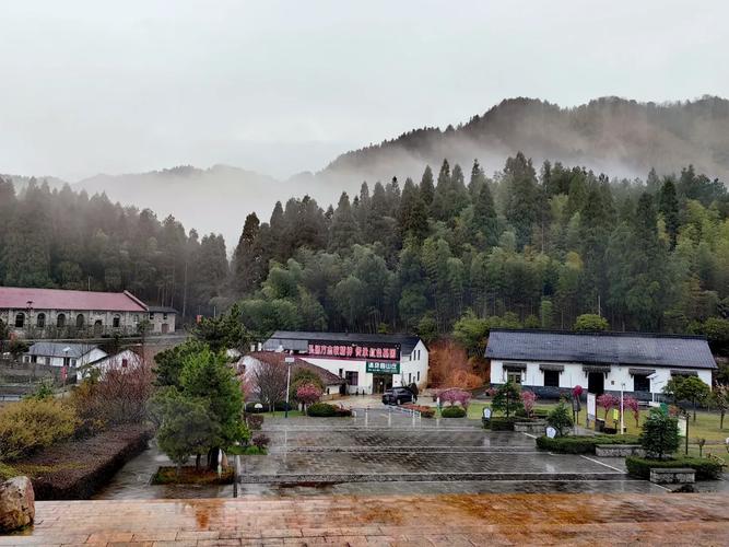 ����������ѣ����������Ѳ���