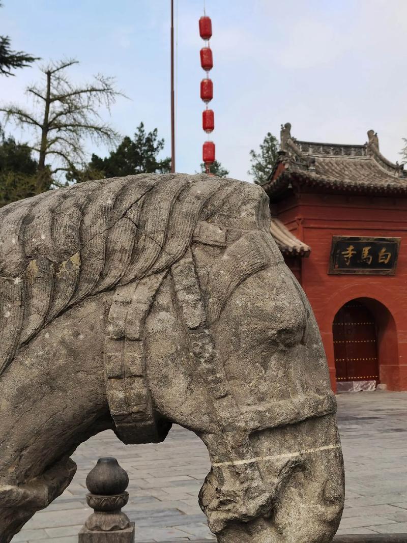双鱼属鼠21年运势 84鼠双鱼男2025年运势是什么意思? 双鱼属鼠21年运势 84鼠双鱼男2025年运势是什么意思?