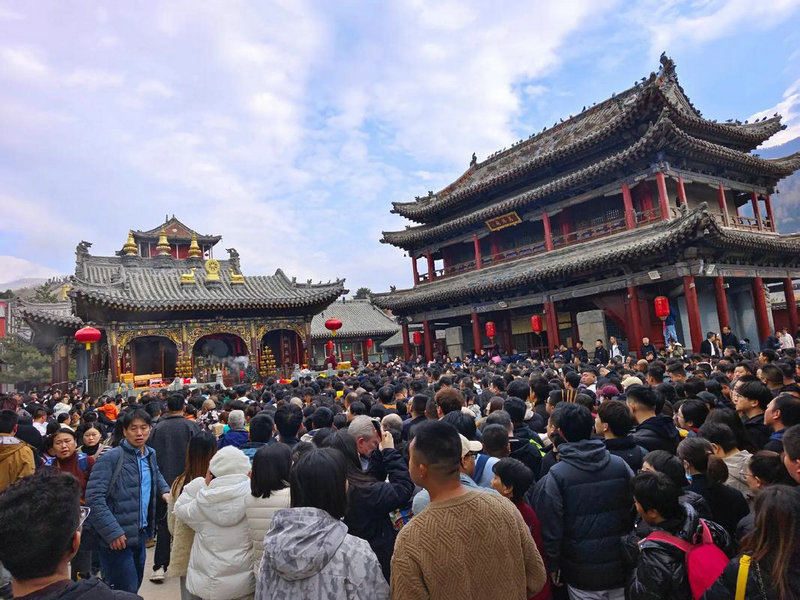 杨加林为什么敢动刘涌 杨加林为什么敢动刘涌