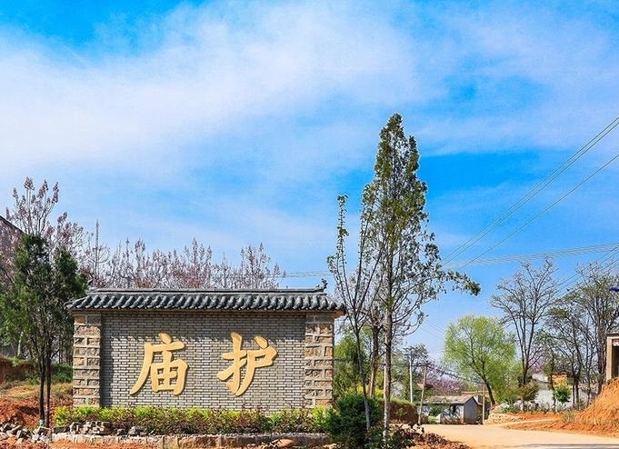深圳骑手相撞爬到树下 深圳骑手相撞爬到树下