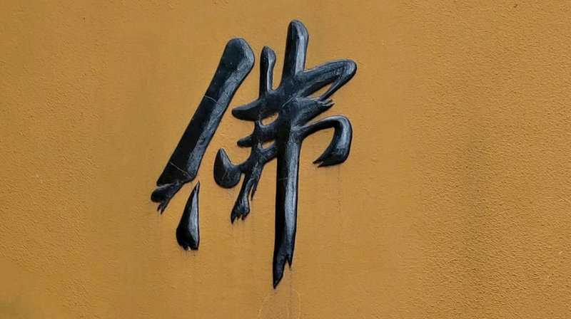秦俊杰张雪迎,秦俊杰张雪迎电视剧泡沫之夏 秦俊杰张雪迎,秦俊杰张雪迎电视剧泡沫之夏