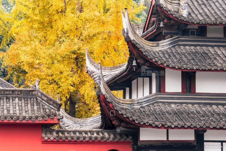 别墅外面养鱼可以吗风水 别墅外面养鱼可以吗风水