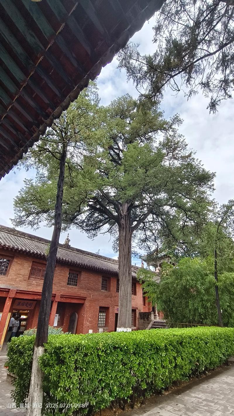 眼镜店名字大气寓意好 眼镜店名字大气寓意好