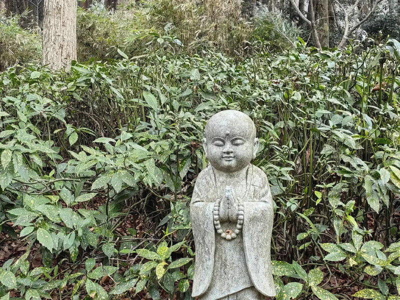 ̨�尲�����������ϼ��