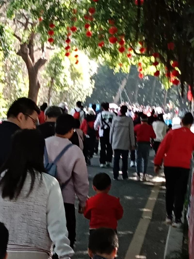 求风水高人帮助选用2010年7月8月搬家吉日 (求风水师) 求风水高人帮助选用2010年7月8月搬家吉日 (求风水师)