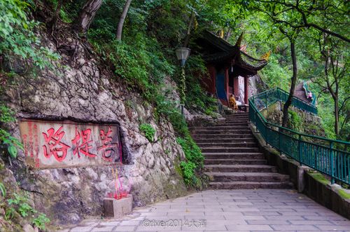 狮子座男和双鱼座女的恋爱配对 狮子座男和双鱼座女的恋爱配对