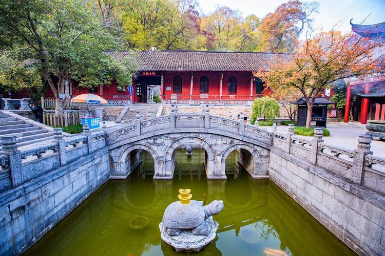 几个老公的老公是谁 几个老公的老公是谁