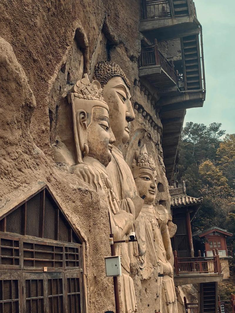 属兔的人几月出生优秀命 属兔的人几月出生优秀命