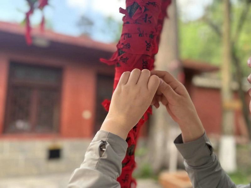 张婧仪个人资料及家世 张婧仪个人资料及家世
