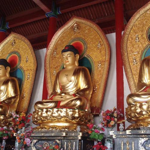 家中最适合养什么花 门前种什么花草最旺宅 家中最适合养什么花 门前种什么花草最旺宅