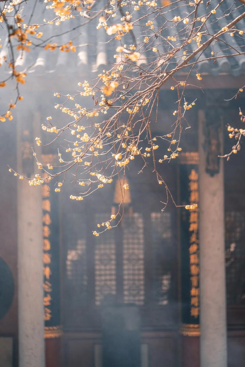 女巫店一周运势,闹闹女巫店摩羯座2016年运势完 女巫店一周运势,闹闹女巫店摩羯座2016年运势完