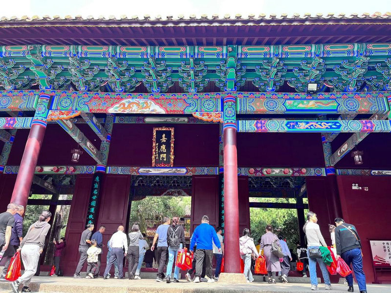 苏永康个人资料简介大全 苏永康个人资料简介大全