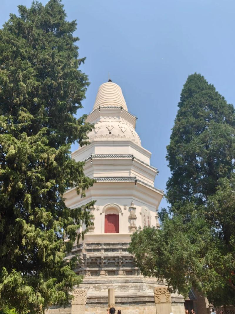 现在养鸡鸭政府能让建鸭棚吗(养鸡大棚风水禁忌表格图片) 现在养鸡鸭政府能让建鸭棚吗(养鸡大棚风水禁忌表格图片)