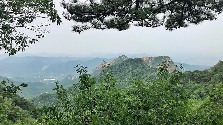 女生学易经 学易经的人下场很惨是真的吗 女生学易经 学易经的人下场很惨是真的吗