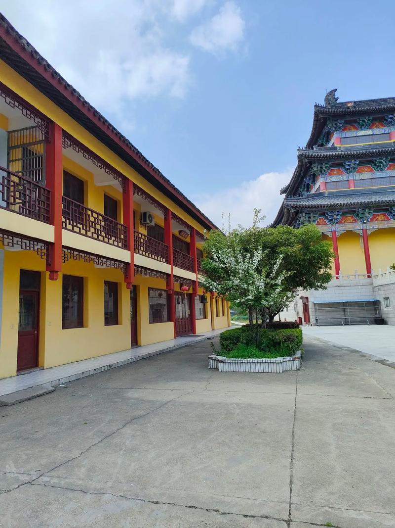 情歌再也唱不出我的伤悲 情歌再也唱不出我的伤悲